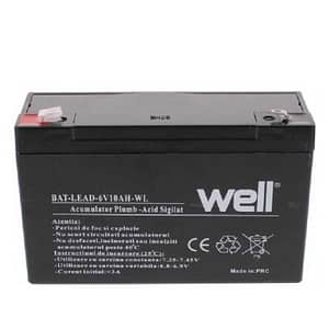 Acumulator plumb acid 6V 10AH Well