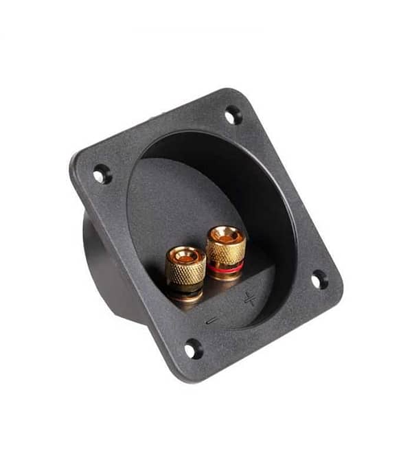 Conector boxa 2 terminale aurite